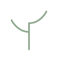 Organic Growth